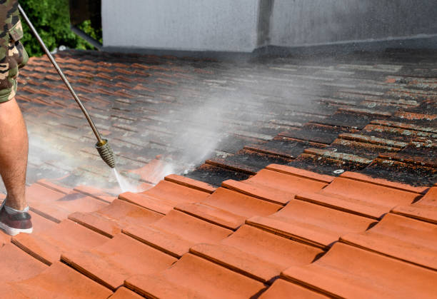 Best Power Washing Near Me  in Lewes, DE