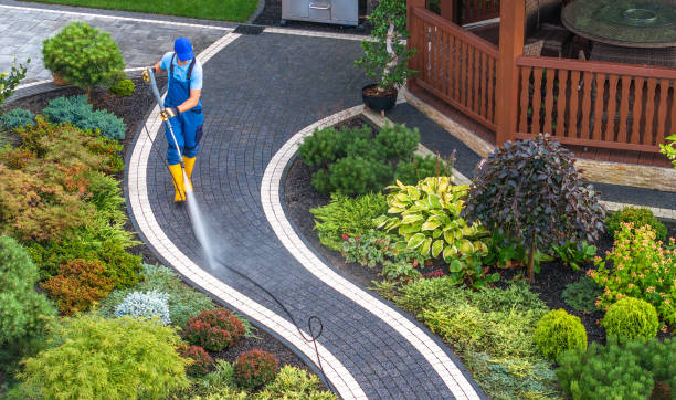 Pressure Washing Contractors in Lewes, DE